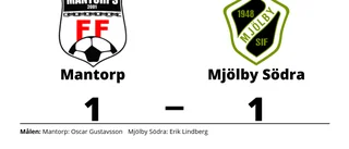 Erik Lindberg poängräddare för Mjölby Södra