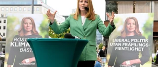 Annie Lööfs misstag var att glömma kärnväljarna