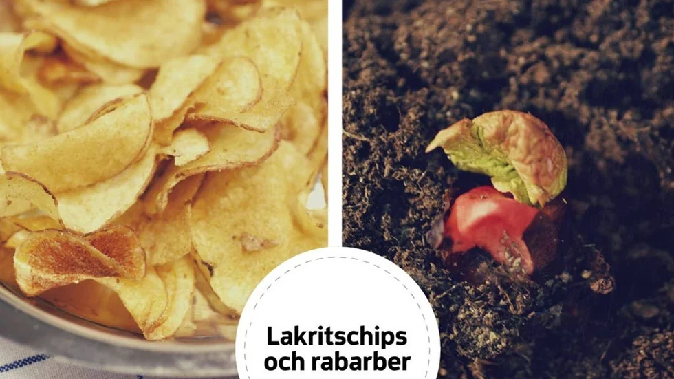 Lakritschips och livgivande ur jorden.