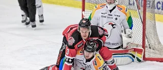 Piteå Hockey börjar hemma