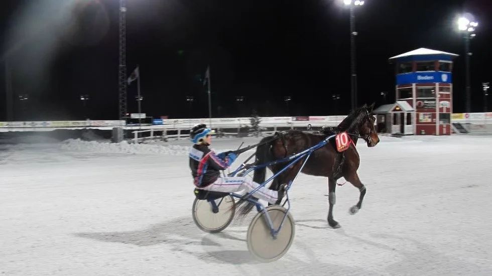 Motståndarna fick bara se ryggarna på Ingela Nilsson och hästen Edit Brown under slutvarvet i V65-1 på Bodentravet. Ekipagets tredje raka seger.