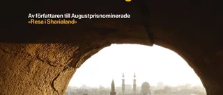 Hjärtskärande reportage om Egypten