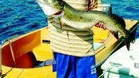 18-årige Tobias Nylin från Hävla fångade den största fisken under helgen. En gädda på 5,5 kilo.
Foto: Magnus Johansson