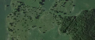 Lantbruksfastigheten på Risänge 119 i Harbo såld för andra gången på kort tid