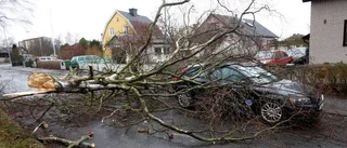 Östergötland kom lindrigt undan i stormen