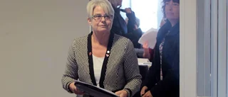 Rådet sågar nytt skolförslag