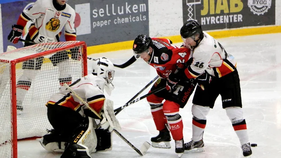 KROSS. Piteå Hockey fortsätter att gå starkt på försäsongen. Nu krossades Lejon med 7–1. (Arkivbild)