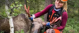 Fullträff när Mathilda, 20, testade jaktlyckan i Säivis: "Det blev premiärälgen kan man säga – fast det blev två"