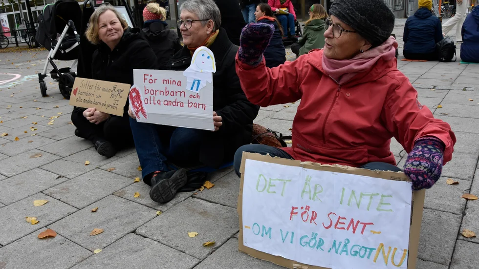 "Det är inte för sent - om vi gör det nu" står det på Meta Wiborghs egentillverkade paroll. Till vänster syns Gunnel Särkimukka och Ulla Henriksson.