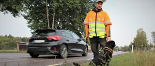Livsfarligt jobb vid vägkanten • "Många struntar fullkomligt i oss" • 500 viltolyckor varje år i kommunen