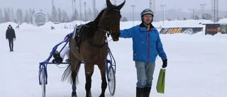 Talangfulla Piteåhästar jagar tredje raka