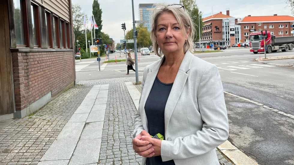 "Hittills har vi på Arbetsförmedlingen i Skellefteå fått kännedom om sex varsel hos underleverantörer till Northvolt som berör cirka 140 personer", berättar Mona Burlin.