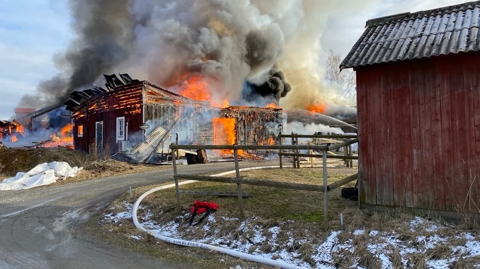 Ladugården var helt övertänd och elden hann sprida sig till flera byggnader i närheten innan räddningstjänsten fick kontroll över den.