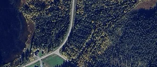 Ny ägare till gård i Muskus