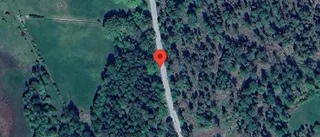 Nedfallna träd påverkar trafiken på väg 1177