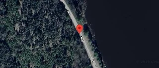 Stopp på väg 55 på grund av en viltolycka