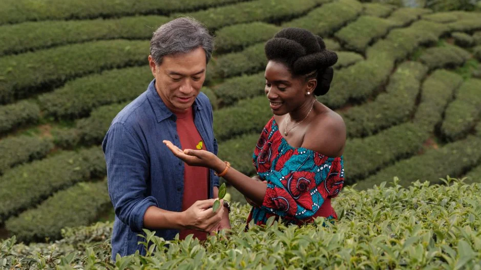 "Black tea" handlar om Aya från Västafrika som flyttar till Kina för att fördjupa sig i den ädla tekonsten.