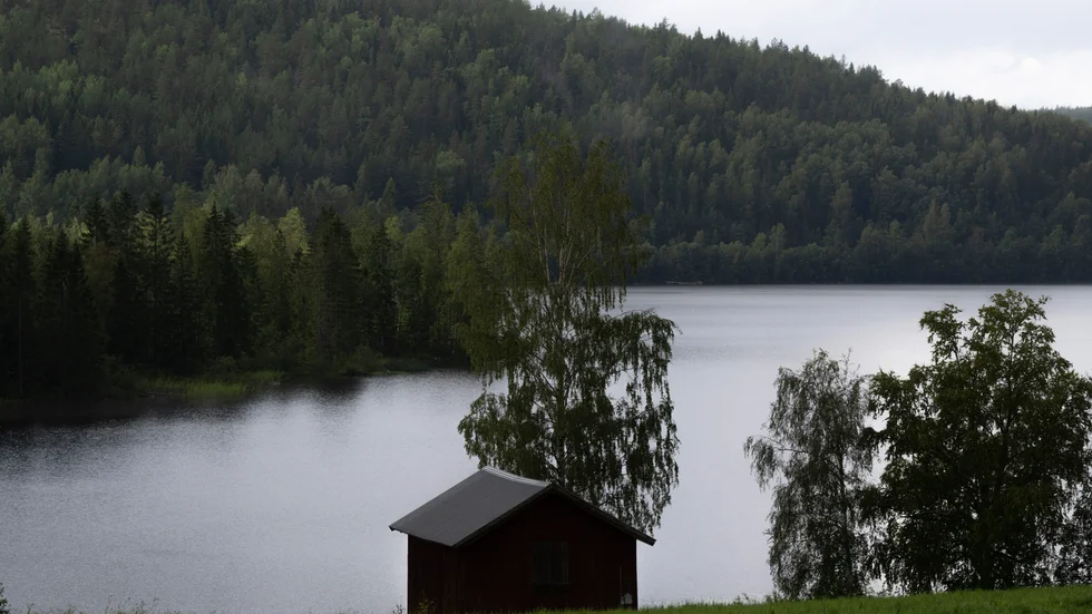 Vattenmiljöer är känsliga och viktiga för ekosystem och biologisk mångfald, skriver Anders Wennerblad.