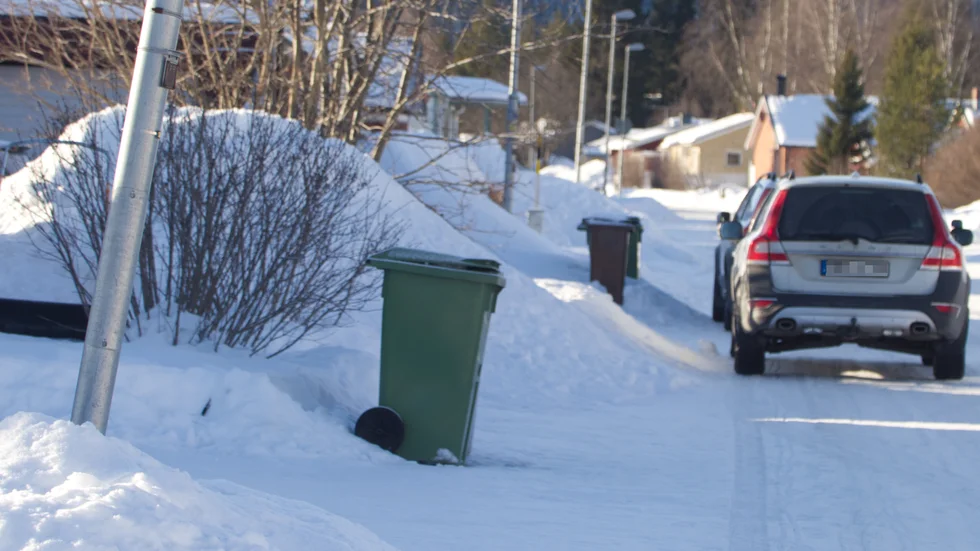 Polisen var på plats hemma hos mannen i Älvsbyns kommun under måndagen. På tisdagen häktades han på sannolika skäl misstänkt för två fall av misshandel.