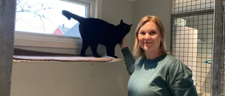Caroline, 41, satsar på sin dröm – öppnar pensionat för katter