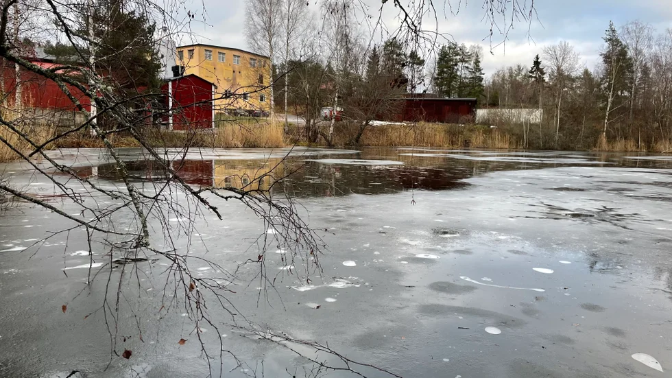 Den lilla sjön Tärnsjön vid Tärnsjö garveri tillhör en av länets mest förorenade platser.