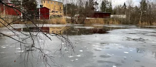 Efter alla utsläppen – nytt hopp för den förgiftade sjön
