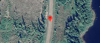Nedfallna träd påverkar trafiken på E10