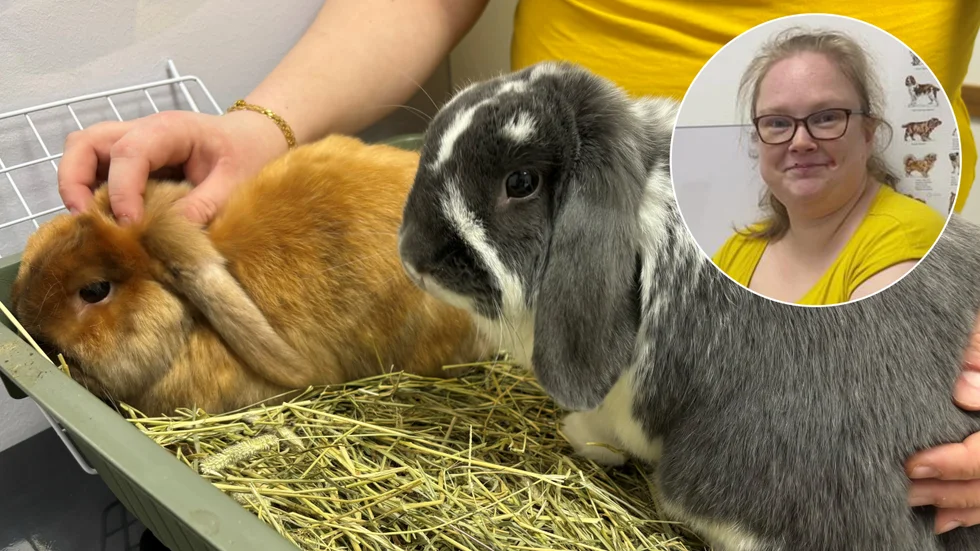 Sandra Pedersen och hennes kaniner Lexi och Dusty.