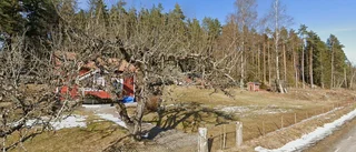 Ny ägare tar över stuga i Kolmården