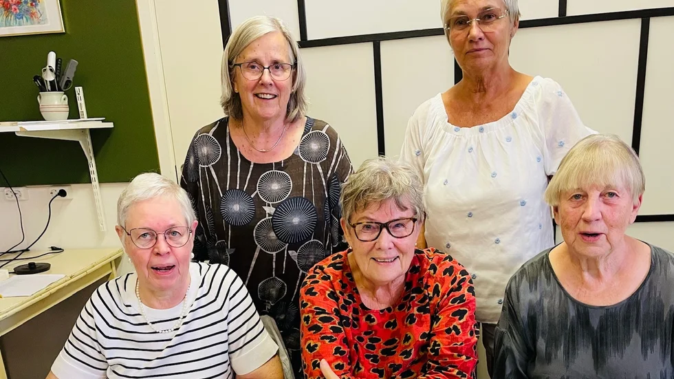 Personerna som ordnade festen: Övre raden Elisabeth Ölverud och Lena Johansson. Nedre raden från vänster: Marianne Rönnquist, Anna-Lena Holmfrid och Ulla Johansson.