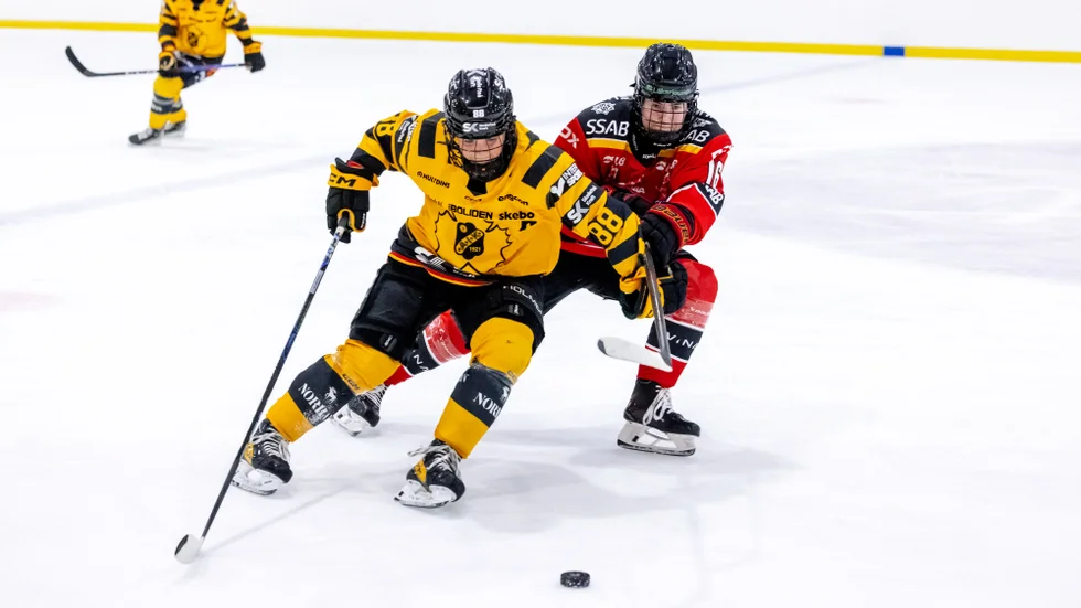Malou Berggren och Skellefteå AIK höll undan mot Djurgården och säkrade lagets fjärde raka seger i SDHL, där samtliga har kommit på bortaplan. (Arkivbild)