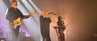 The Wannadies har åldrats – som ett bra vin