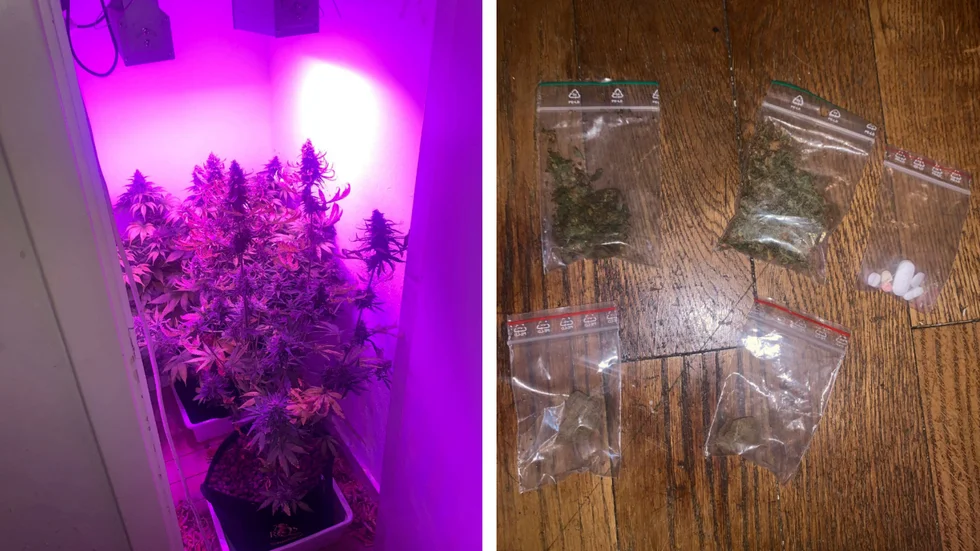 I lägenheten Tannefors hittade polisen en cannabisodling. (Bilderna är hämtade ur förundersökningen.)  
