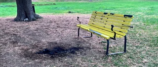 Larm om öppen eld i centrala parken