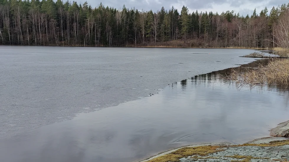 Isen på sjön är på vissa håll väldigt tunn, när vi besöker platsen ett halvt dygn senare. Mest is är det på skuggsidan.