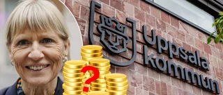 Ska Uppsalas stadsdirektör tjäna mer än Erik Pelling?
