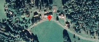 Problem i trafiken efter nedfallna träd på väg 619