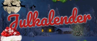 Otroligt engagemang i SN:s julkalender – här är vinnarna