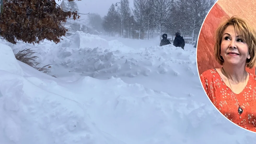 Pia Johansson trodde sig vara redo för snökaoset. Vid 01-tiden började hon att skotta snö. På morgonen packade hon bilen med spade och såg. Tidigare har hon tvingats såga i välta träd på vägen för att ta sig till jobbet som skådespelare. 