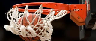 ”Skapa fler basketplaner i Visby”