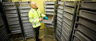 Unikt larvprojekt i Eskilstuna – blir fiskmat