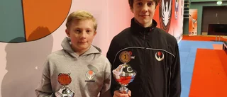 Guld och brons till Karateklubben i Danmark