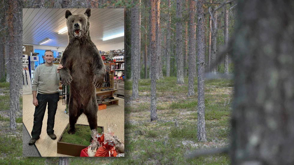 Konservatorn Per-Erik Hedlund är färdig med arbetet med björnen.