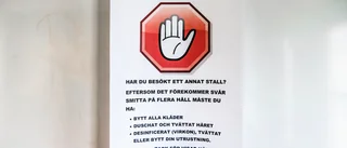 Alla hästar kontrolleras efter virusbesked