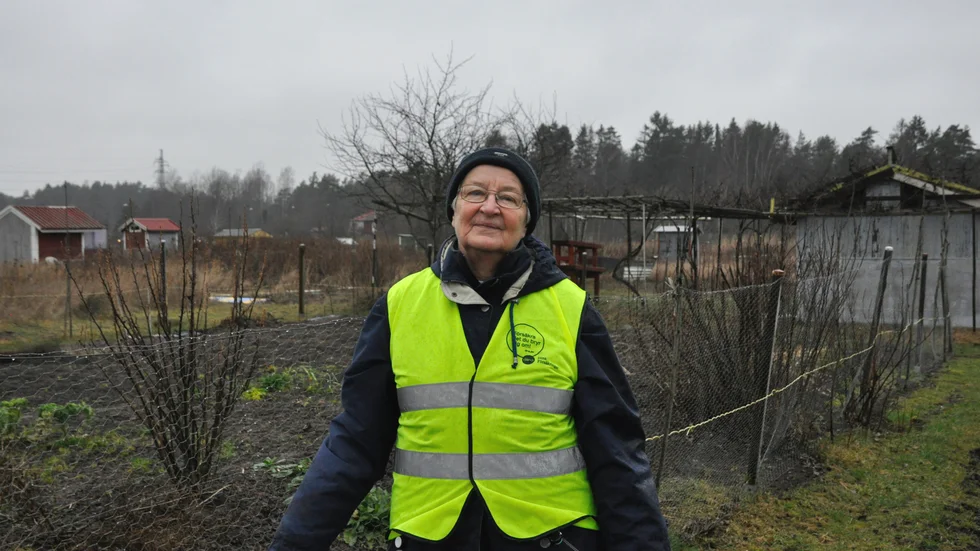 Ellen Johansson är kritisk till hur kommunen har sagt upp sina hyresgäster. 