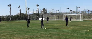 Skavanker och sjukdom stör AFC i Turkiet  
