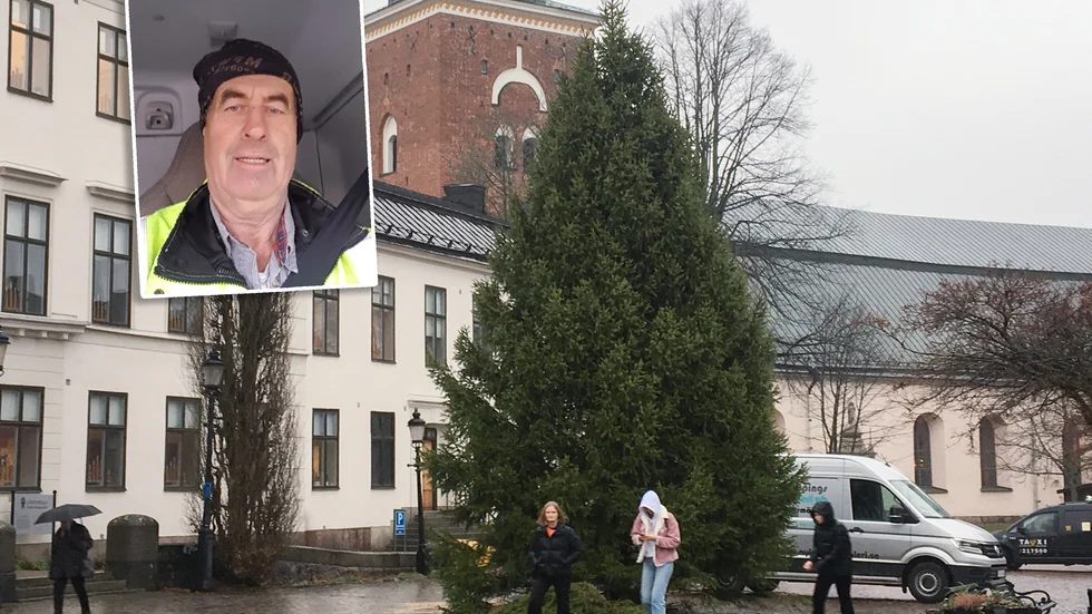 Granen står på torget. Göran Schnitzler stötte dock på en del problem när den skulle levereras.
