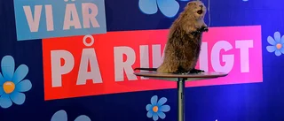 Att ha Sölvesborg som föredöme säger mycket