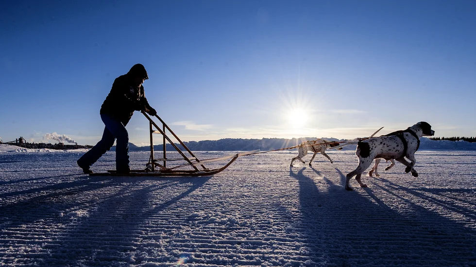Det ska bli mycket sol i Norrbotten i dag. Så här i coronatider kan en dag ute i den friska luften och med lagom avstånd till andra vara en skön utflykt till det normala.