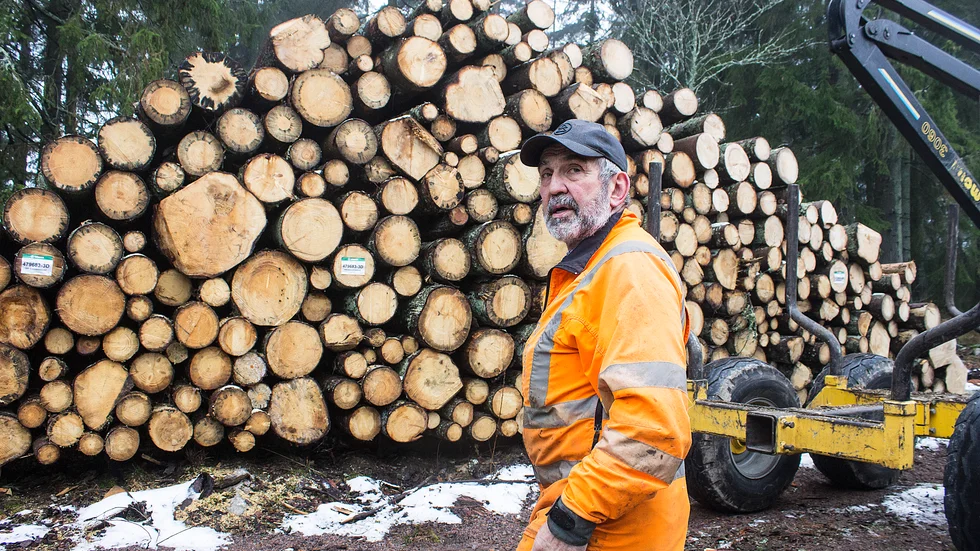 Janne Larsson i Stubba, nära Borensberg, för en oavbruten kamp mot granbarkborrarna. I bakgrunden syns angripet virke som fällts och nu väntar på  att transporteras bort.